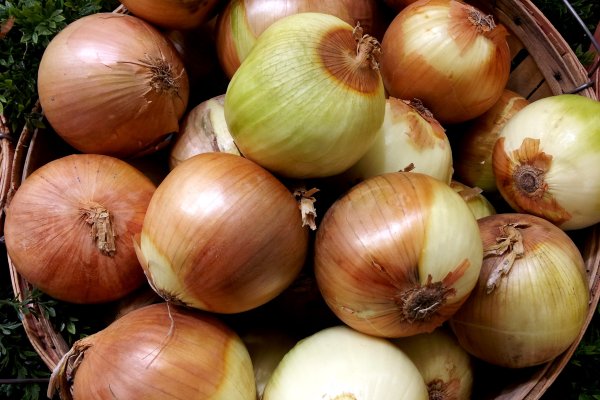 Сайт кракен официальный ссылка onion