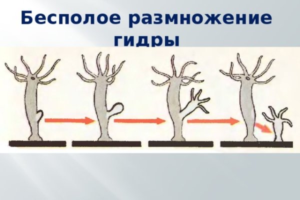 Кракен маркет даркнет скачать