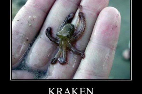 Кракен порошок