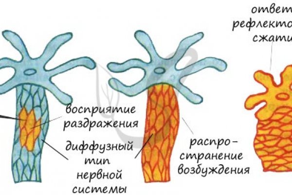 Линк кракена